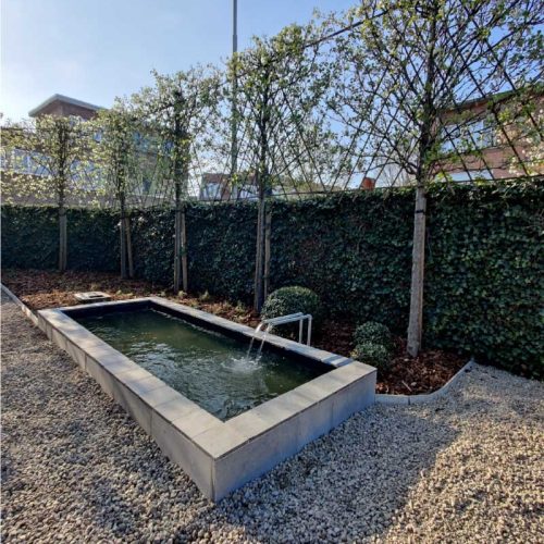 tuinontwerp-vijver